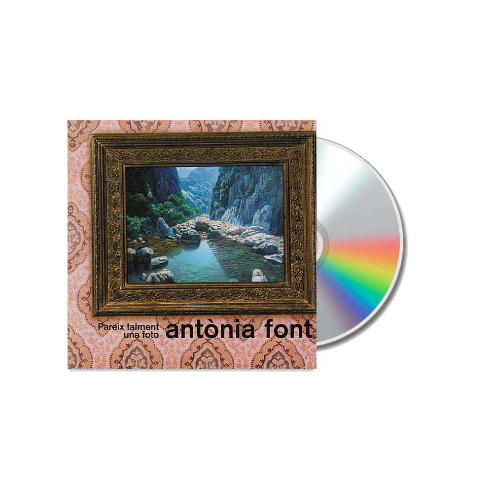Pareix talment una foto - CD