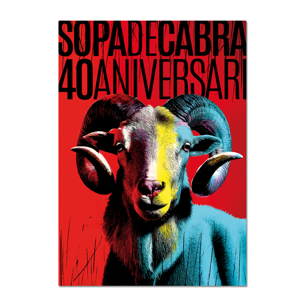 Pòster SOPA 40