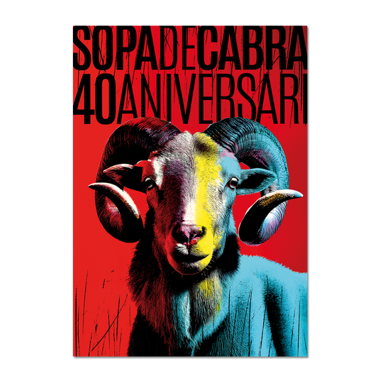Póster SOPA 40