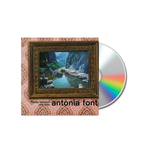 Pareix talment una foto - CD